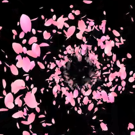 信毎メディアガーデンの夜桜「桜絢爛」