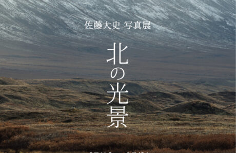北の光景