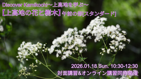 Discover Kamikochi～上高地を学ぶ～ | 信毎メディアガーデン （長野県